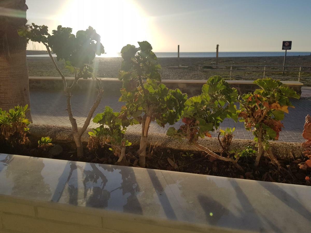 Apartamento Solymar 3 سان خوسيه المظهر الخارجي الصورة